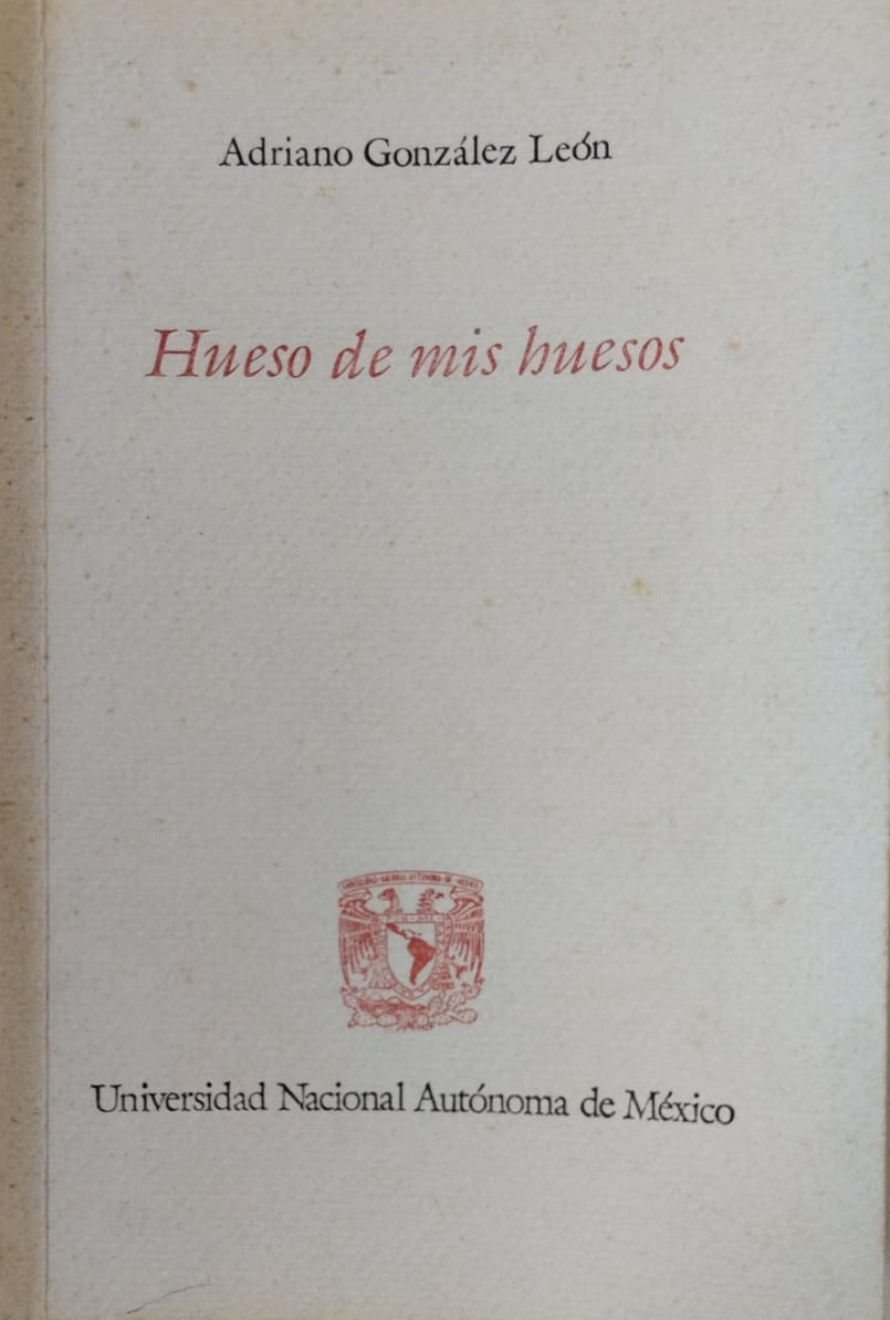 Hueso de mis huesos